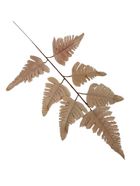 Liść pietrucha paproć 55 cm ciemny beż