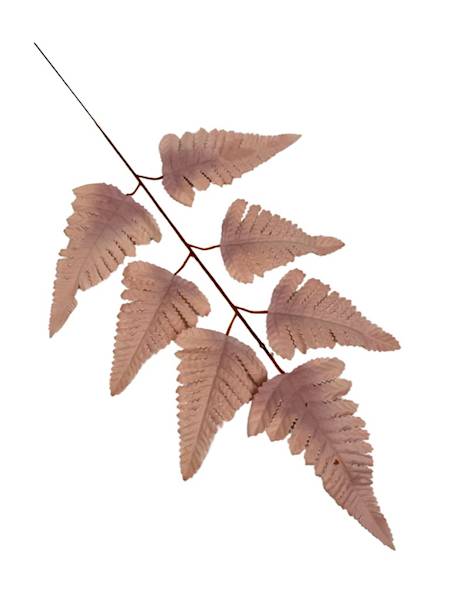 Liść pietrucha paproć 55 cm pudrowy róż