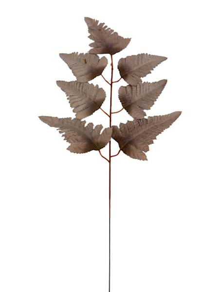 Liść pietrucha paproć 55 cm brąz