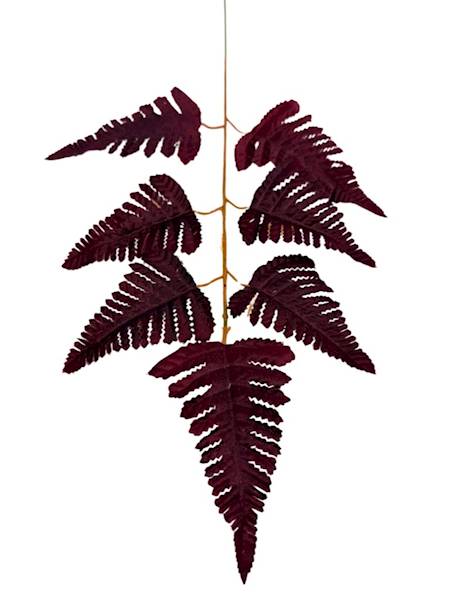 Liść pietrucha paproć 55 cm bordo