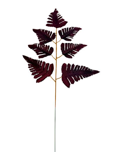 Liść pietrucha paproć 55 cm bordo