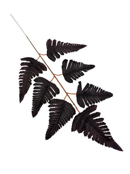 Liść pietrucha paproć 55 cm ciemny fiolet