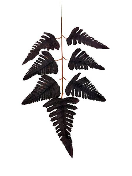 Liść pietrucha paproć 55 cm ciemny fiolet