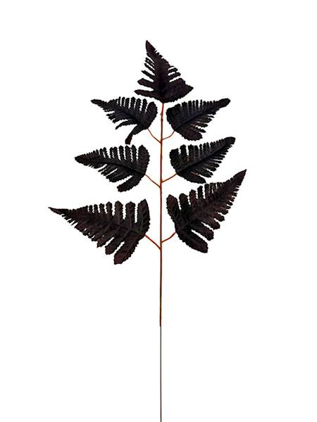 Liść pietrucha paproć 55 cm ciemny fiolet