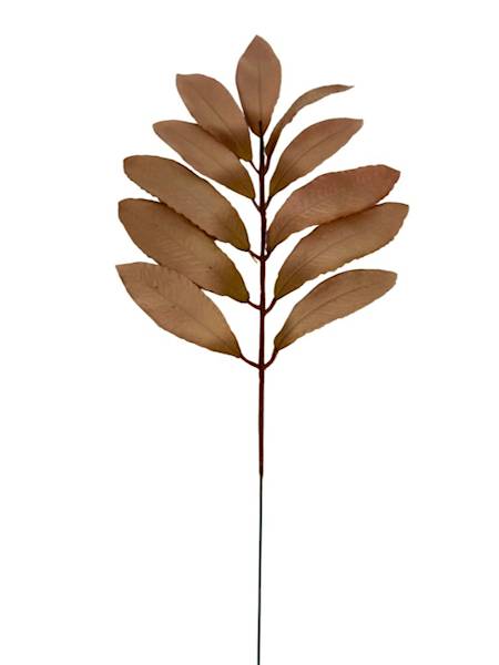 Liść laurowy gałązka 46 cm jasny brąz