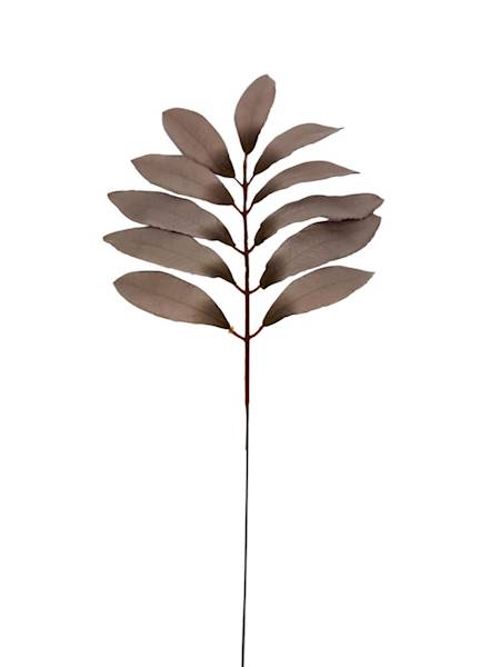 Liść laurowy gałązka 46 cm chłodny brąz