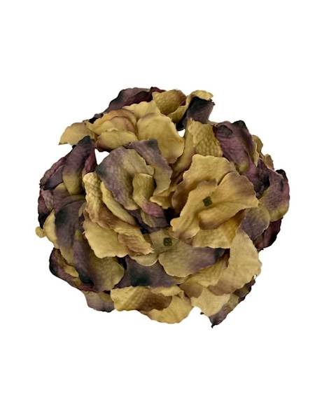 Hortensja jesienna główka 18 cm