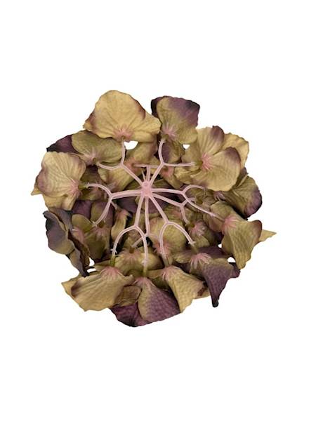 Hortensja jesienna główka 18 cm