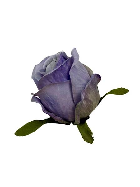 Róża główka 6 cm jasny fiolet