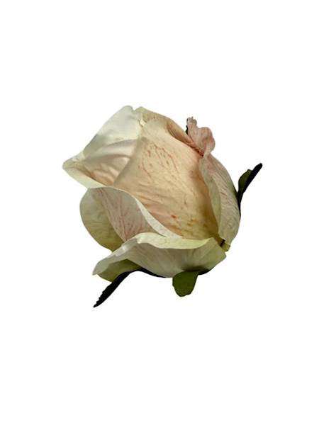 Róża główka 6 cm kremowa z akcentami