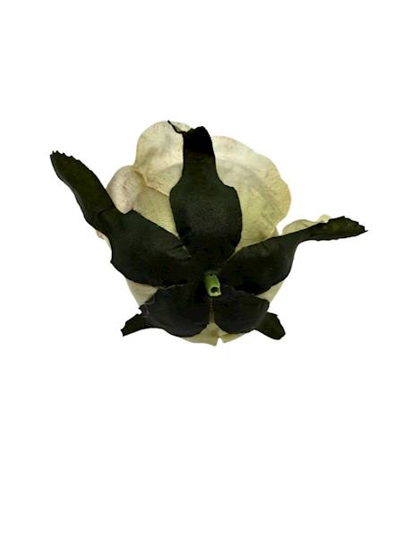 Róża główka 6 cm kremowa z akcentami