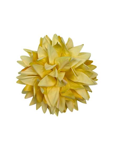 Dalia główka 12 cm żółta