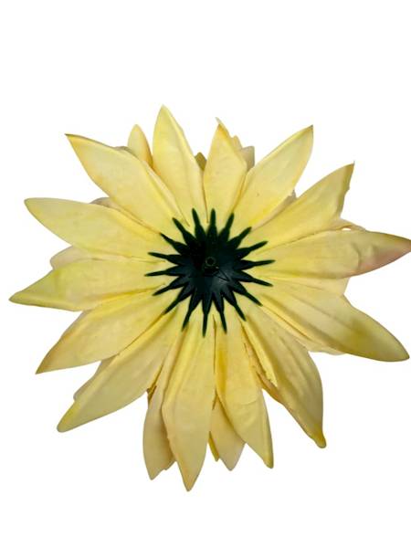 Dalia główka 12 cm żółta