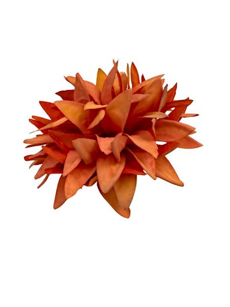 Dalia główka 12 cm pomarańczowa