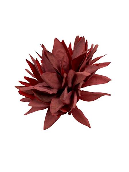 Dalia główka 12 cm czerwona