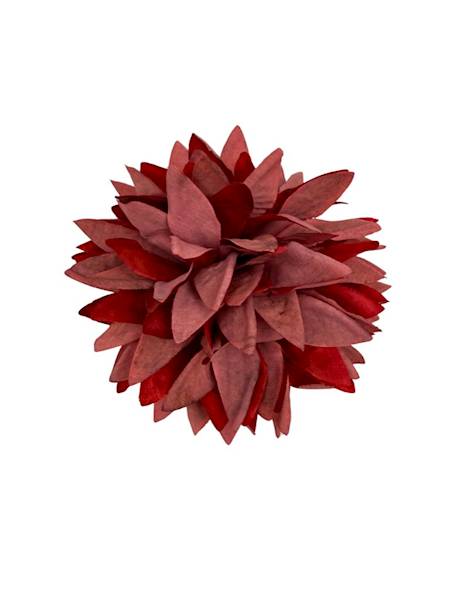 Dalia główka 12 cm czerwona