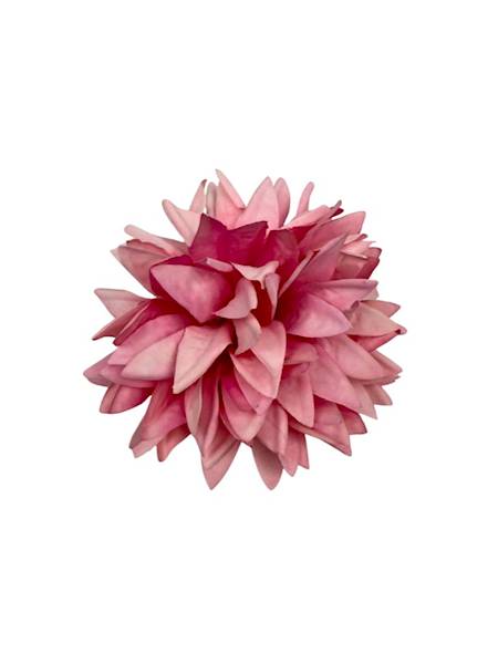Dalia główka 12 cm różowa
