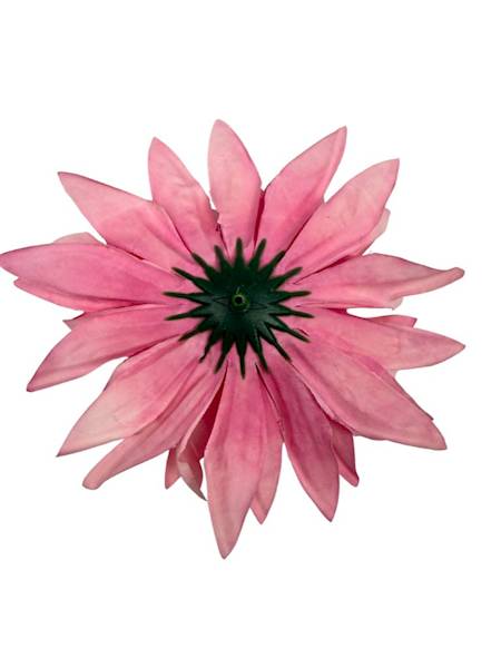 Dalia główka 12 cm różowa