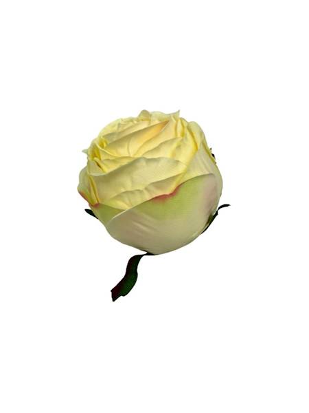 Róża główka 8 cm delikatna wanilia