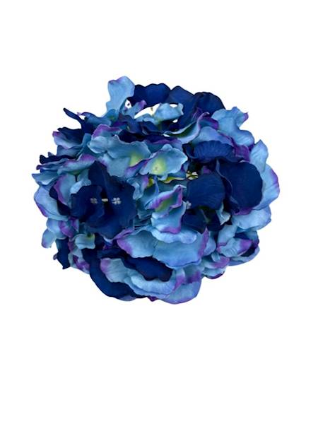 Hortensja duża główka 21 cm niebieska