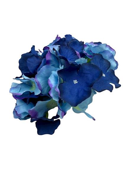 Hortensja duża główka 21 cm niebieska