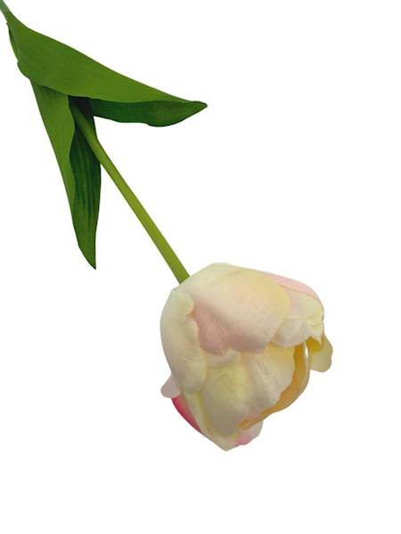 Tulipan gałązka 58 cm krem i jasny róż