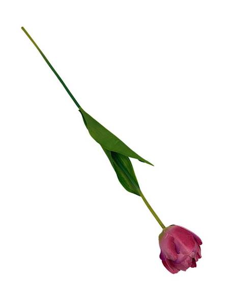 Tulipan gałązka 58 cm różowy