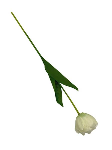Tulipan gałązka 58 cm kremowy
