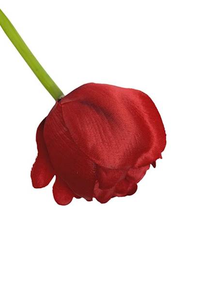Tulipan gałązka 58 cm czerwony