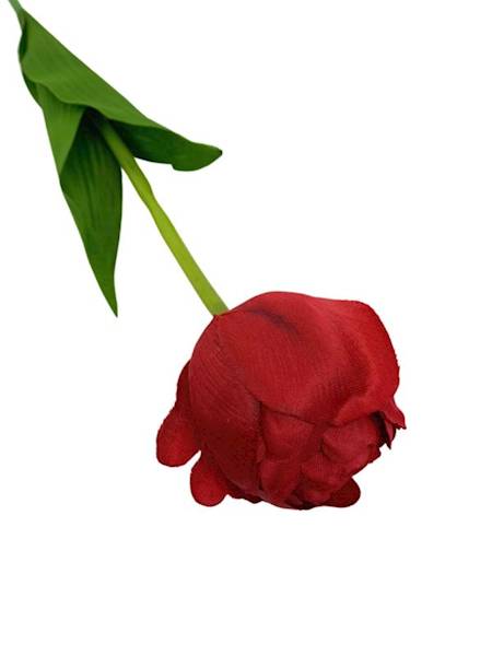 Tulipan gałązka 58 cm czerwony