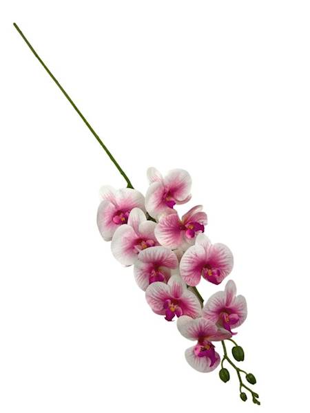 Storczyk gałązka 95 cm biały z różowym