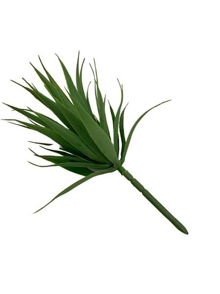 Sukulent 20 cm zielony omszony