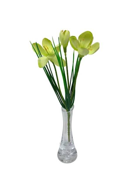 Krokus pik 29 cm jasno zielony