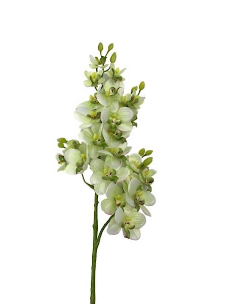 Storczyk gałązka 73 cm jasno zielony
