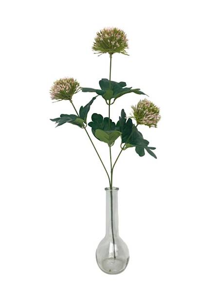 Czosnek 50 cm różowy