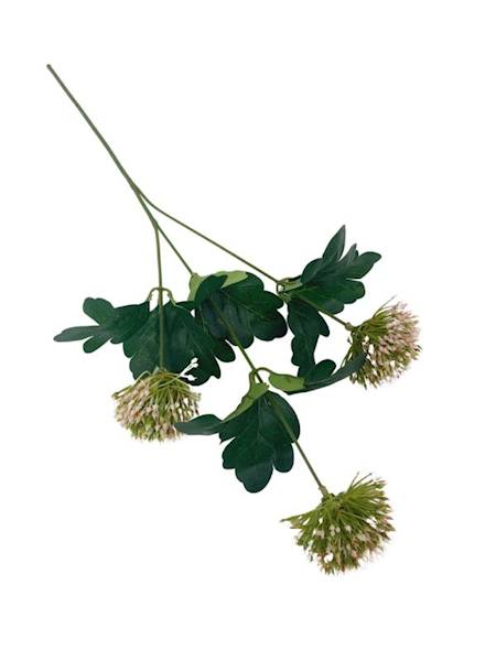 Czosnek 50 cm różowy