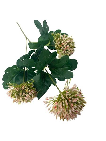 Czosnek 50 cm różowy