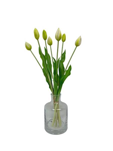 Tulipan silikonowy wiązka 45 cm kremowo zielony