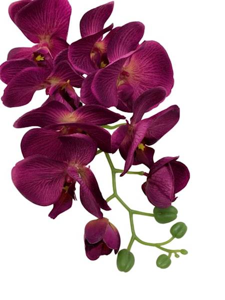 Storczyk gałązka 100 cm purpurowy 