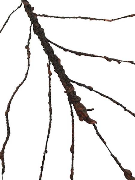 Korzeń 64 cm brązowy