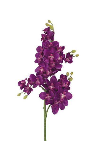Storczyk gałązka 73 cm purpurowy