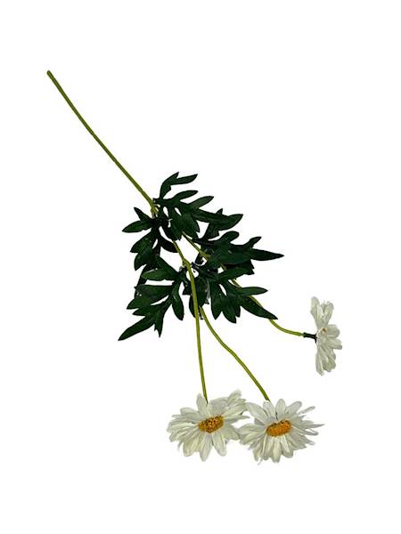 Margaretka gałązka 50 cm kremowa