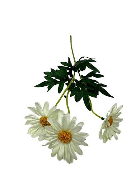 Margaretka gałązka 50 cm kremowa