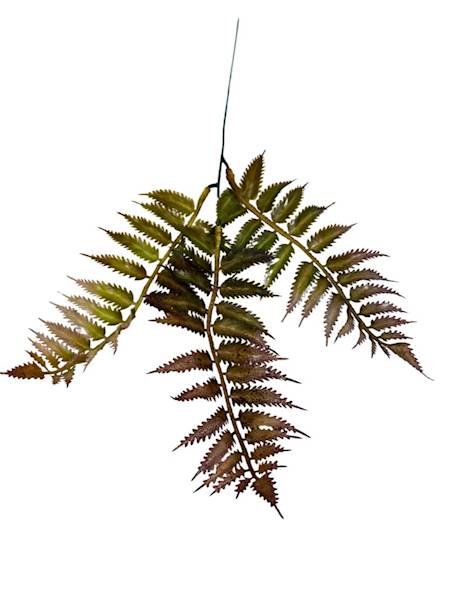 Paproć gałązka 35 cm brąz