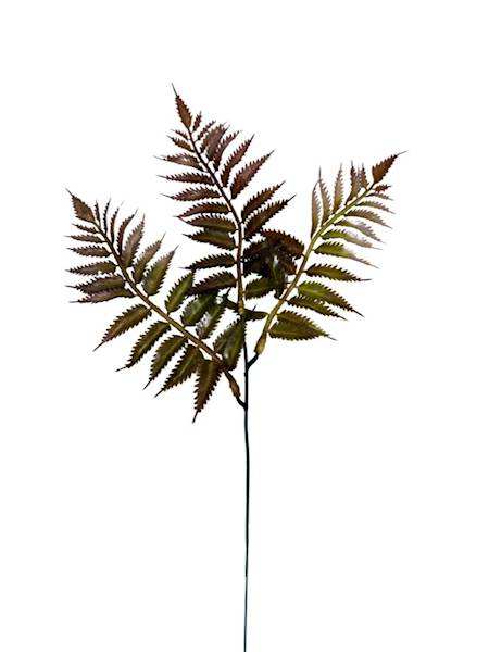 Paproć gałązka 35 cm brąz