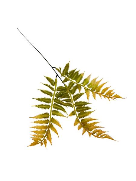 Paproć gałązka 35 cm pomarańcz