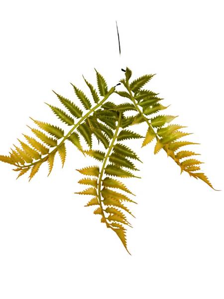 Paproć gałązka 35 cm pomarańcz