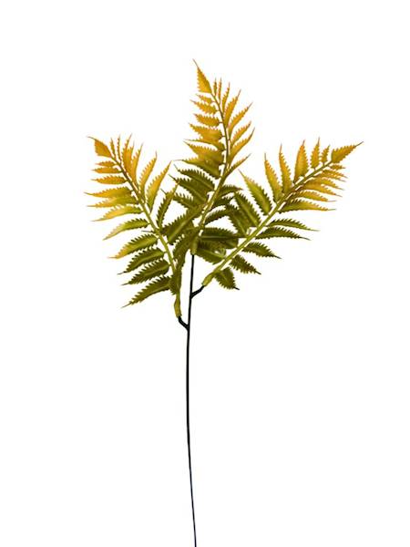 Paproć gałązka 35 cm pomarańcz