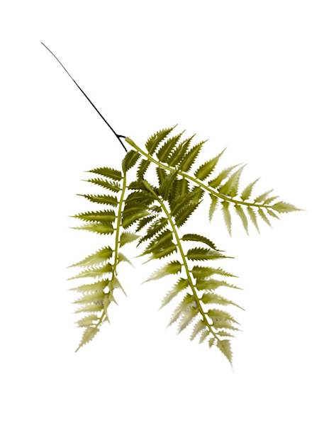 Paproć gałązka 35 cm biało zielona