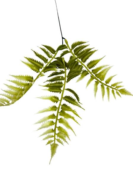 Paproć gałązka 35 cm biało zielona